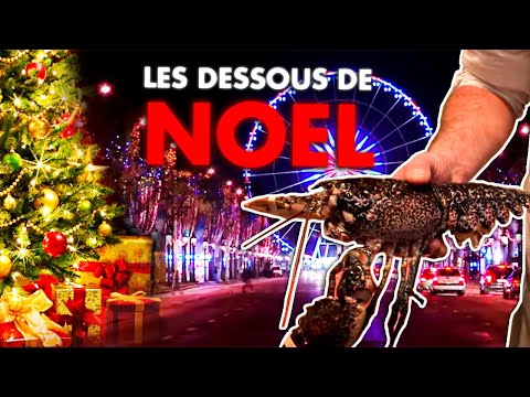 Homard, sapin et cadeaux : les dessous de No&euml;l