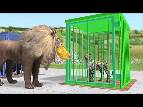 Choose Right Key with Gorilla Cow Tiger Lion Wild Animals Games