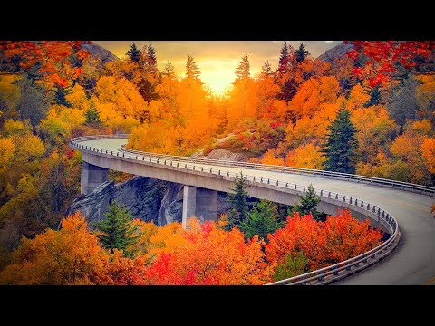 Relaxing Music Healing Stress, Anxiety and Depressive States, Heal Mind, Body and Soul Calming Music