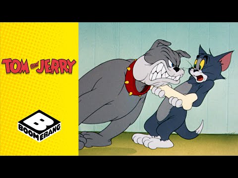 Don't Take Spike's Bone! | Tom &amp; Jerry | Boomerang UK