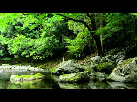 【自然音】せせらぎと野鳥のさえずり / Nature Sounds - Relaxing Sound of Water and Birdsong