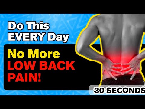 3 LOWER BACK PAIN RELIEF EXERCISE