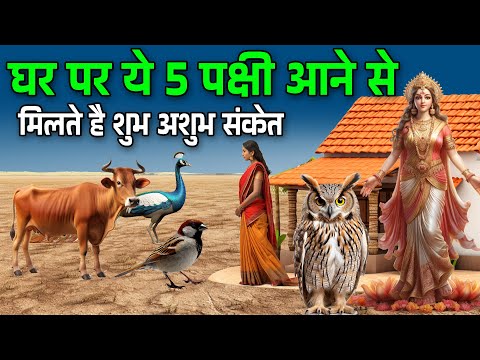 घर पर ये 5 पक्षी आने से मिलते है शुभ अशुभ संकेत आती है साक्षात लक्ष्मी Vastu tips