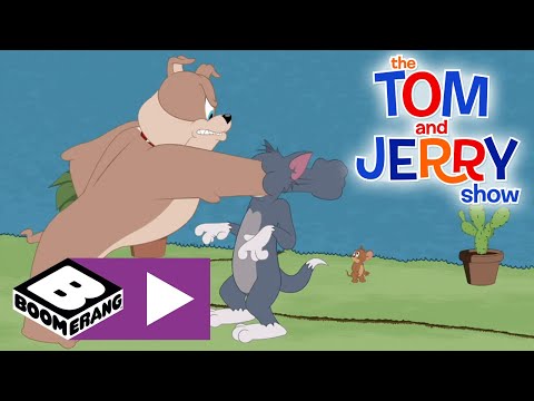 The Tom and Jerry Show | A Treehouse Divided | Boomerang UK