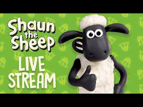 La Oveja Shaun Live Stream