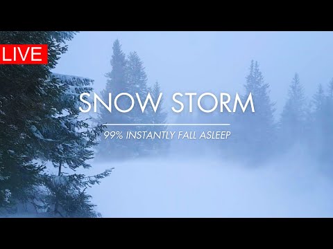 🔴 Snow Storm in Forest | NO ADS | Winter Storm &amp; Howling Wind Sounds For Sleeping 🌨