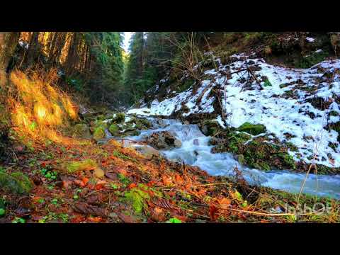 Relaxing Nature Sounds &amp; Natural Calming Water Sound, Forest Bird Song-Waterfall