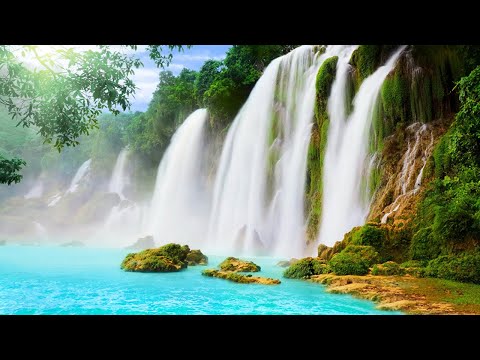 Healing Music &bull; For The Body &amp; Soul &bull; (Water&amp;Bird Sounds) Stress Relief, Sleep Meditation Music