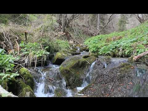 Flowing mountain water Soft sounds of relaxation | White noise for sleep, study, concentration  