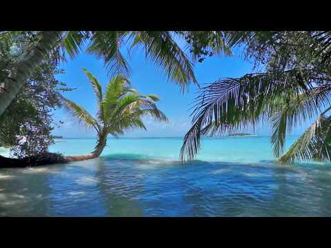 🌴 Ocean Ambience on a Tropical Island (Maldives) with Soothing Waves &amp; Paradise View for Relaxation.