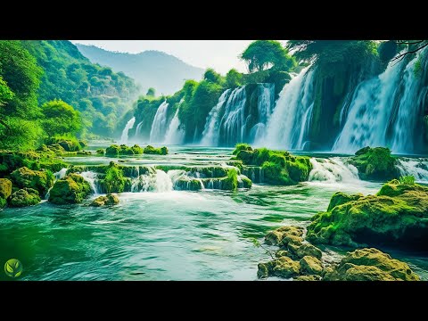 Beautiful Relaxing Music - Stop Overthinking, Stress Relief Music, Sleep Music, Calming Music 