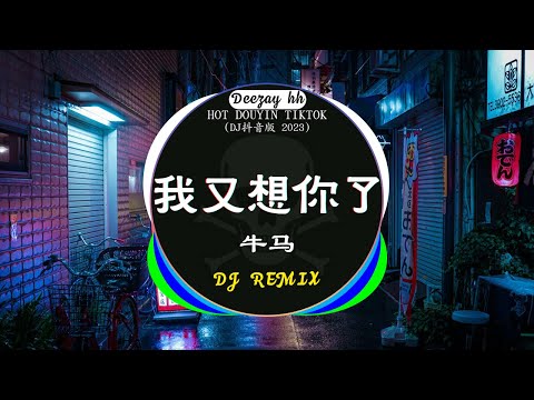 ⚡全网最火最热最新DJ《2023十一月最热dj歌曲排行榜》中文DJ版劲爆舞曲串烧 : 牛马-我又想你了 / 别知己 - 海來阿木 / 美丽的神话  / ...💝2023最火最热爆DJ歌曲串烧