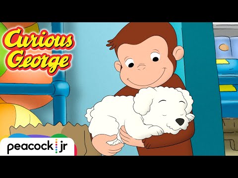 🐶 The Curious Case of the Missing Puppy | CURIOUS GEORGE