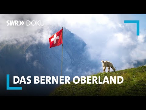 Das Berner Oberland &ndash; Ein Sommer in den Schweizer Alpen | SWR Doku