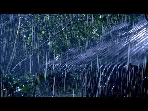 Goodbye Stress to Sleep Instantly with Heavy Rain &amp; Thunder on Old Metal Roof in Rainforest at Night