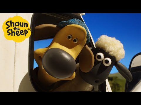 Shaun the Sheep🐑 Can't Teach a Sheep to drive - Cartoons for Kids 🐑 Full Compilation [1 hour]