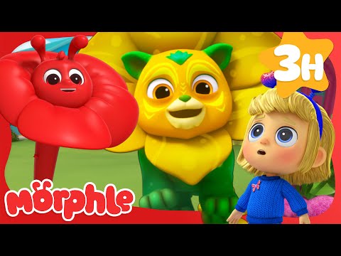 The Flower Power Prize! | Stories for Kids | Morphle Kids Cartoons