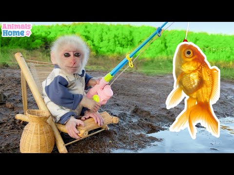 Smart Obi helps dad fish for ducklings