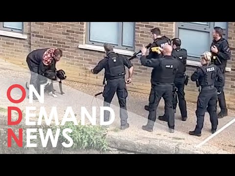 Met Police Shoot Two Dogs and Taser Man in East London