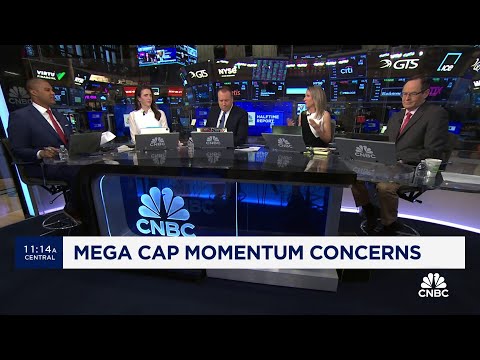 Mega cap momentum concerns: What you need to know