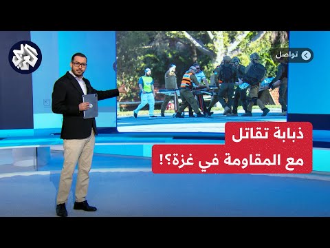 ذبابة الرمل تصيب جنودا إسرائيليين بالليشمانيا والعشرات منهم يدخلون للمستشفى