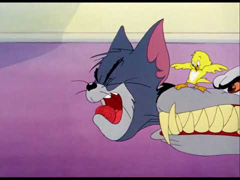 Tom and Jerry - Kitty foiled