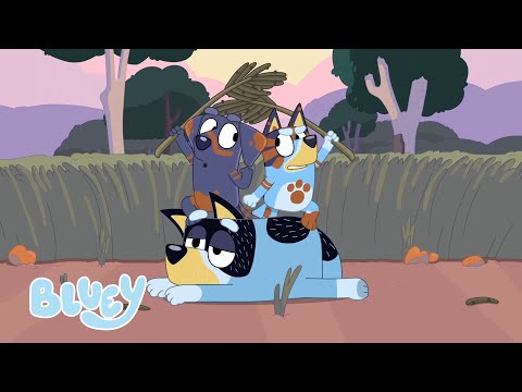 Trabajar juntos | acampada | Bluey Espa&ntilde;ol Canal Oficial