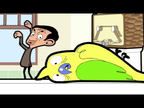 No Pets 🚫 | Mr. Bean | Cartoons for Kids | WildBrain Kids