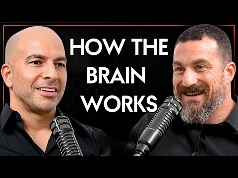 249 ‒ How the brain works, Andrew&rsquo;s fascinating backstory, improving scientific literacy, and more