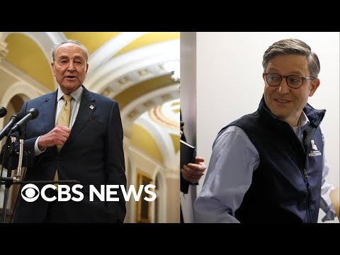 Schumer, Johnson address reporters on Zelenskyy, Biden impeachment