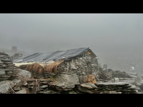 This is Himalayan Life | Rainy Day in Village | Nepal🇳🇵|Ep- 217 | Jiree Village |VillageLifeNepal