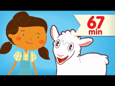 Mary Had A Little Lamb | + More Super Simple Nursery Rhymes