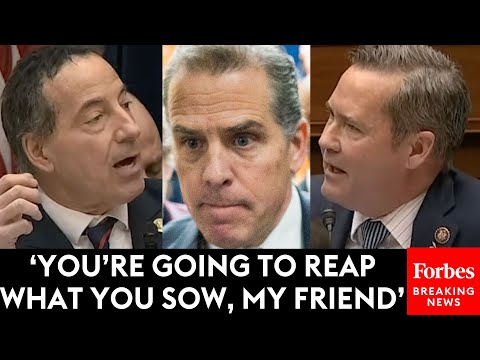 Michael Waltz Issues Blunt Warning To Jamie Raskin At Hunter Biden Contempt Of Congress Hearing