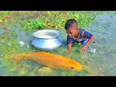 Amazing Boy Catching Fish By Hand | Traditional Little Catching Big Fish By Hand in Mud Water