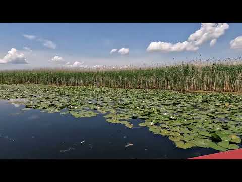 The Danube Delta[4K]