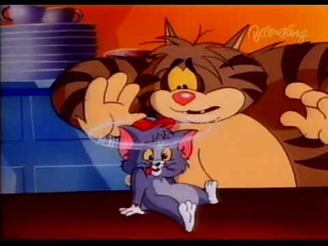 Tom and Jerry Kids S 01 E 06 E - MY PAL |LOOcaa|