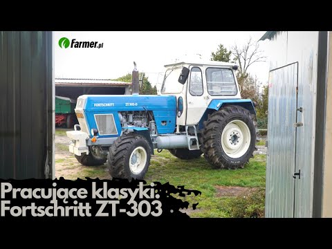 Pracujące klasyki. Fortschritt ZT-303 | Farmer.pl