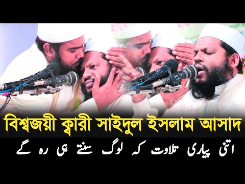 The Most Beautifull || qari saeed ul islam asad bangladeshi | best tilawat e quran.Quran Qari Asad