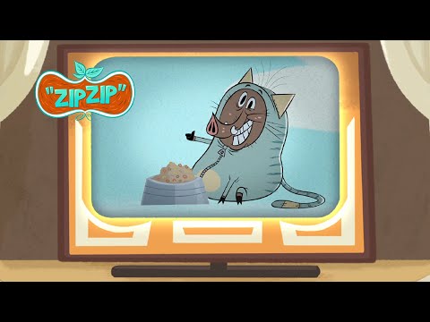 Sam is a TV star | Zip Zip | 4 hours COMPILATION - Season 2 | Cartoon for kids