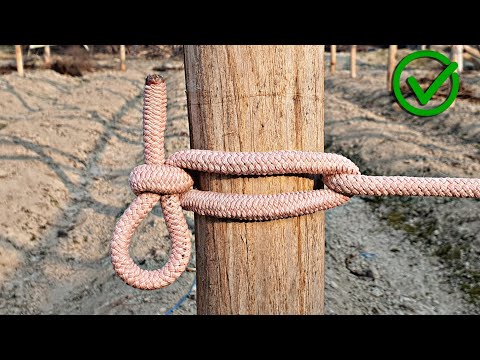 Great! Now you know the secrets of this knot