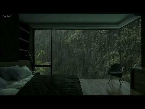 Rainforest Rain Sounds for Sleeping or Studying 🌧️ Rainstorm and Thunder Sounds for Disorders Sleep