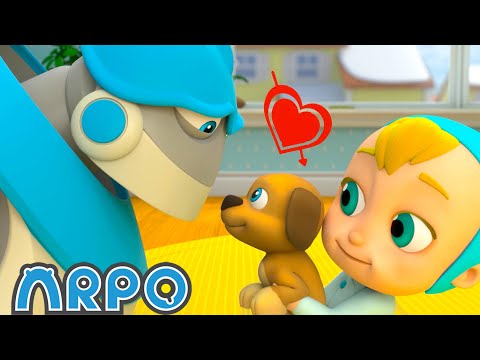 Puppy Mischief - Birthday DISASTER !!! | | ARPO | Rob the Robot &amp; Friends - Funny Kids TV