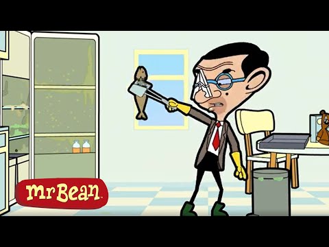 Mr Bean CLEANS The Fridge | Mr Bean Full Episodes | Mr Bean Cartoons