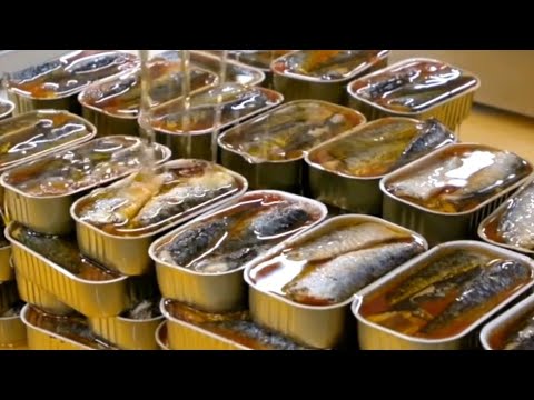 Como a SARDINHA enlatada &eacute; produzida/  Processo de produ&ccedil;&atilde;o  da sardinha enlatada.