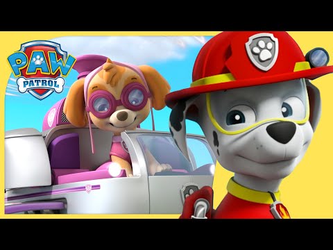 Katie&amp;rsquo;s Mission for Marshall and Skye and MORE | PAW Patrol Compilation | Cartoons for Kids