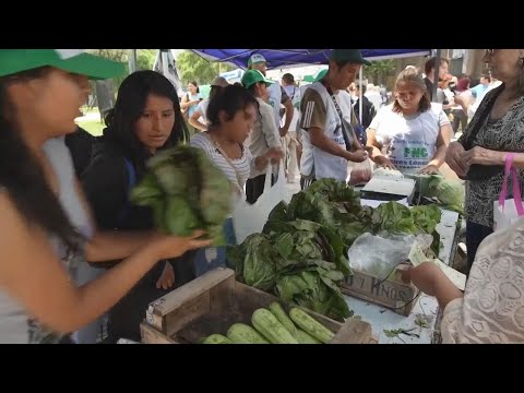 Food producers in Argentina protest price hikes by setting up shop in front of national congress