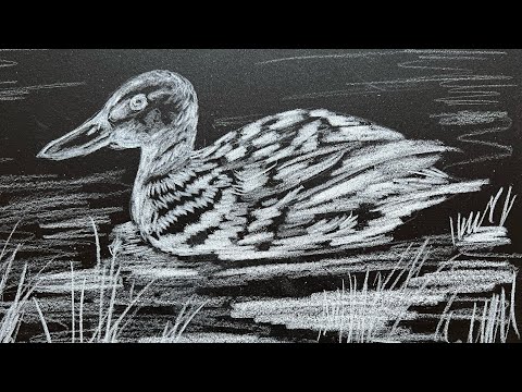 How to draw a duck very simple with white pencil