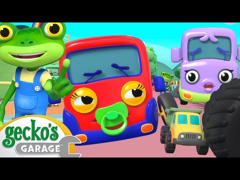 Share the Toy Baby Truck! | Animals for Kids | Animal Cartoons |Funny Cartoons | Learn about Animals