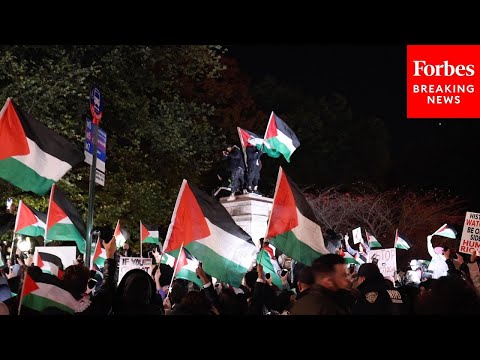 Pro-Palestinian Protesters Demonstrate In New York City