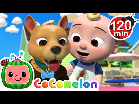 🐶 Bingo's Bath Song KARAOKE! 🐶| BEST OF COCOMELON! | Sing Along With Me! | Moonbug Kids Songs